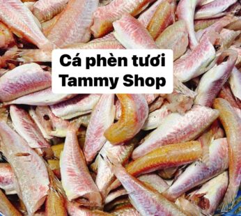 Cá Phèn Tươi (2lbs)