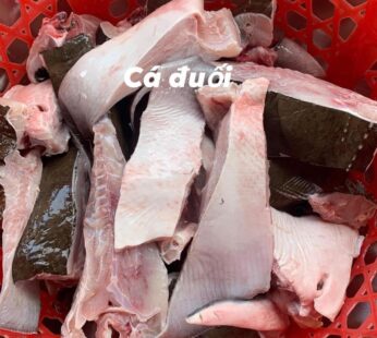 Cá Đuối Tươi (lb)