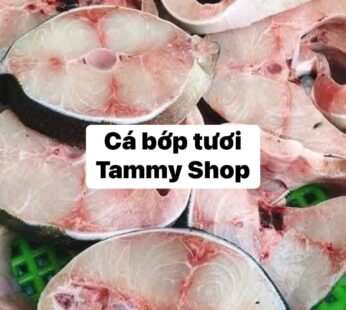 Cá Bớp Tươi (lb)