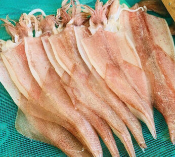 Mực 1 nắng lbs (1-1.5 lbs)