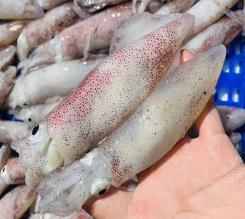 Mực Trứng cali hộp 3 lbs