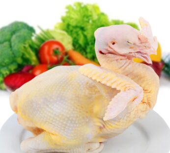 Gà tươi thả vườn con